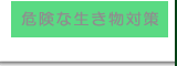 �댯�Ȑ������΍�