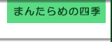 �܂񂽂�߂̎l�G