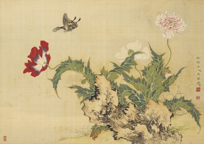 「罌粟花図」