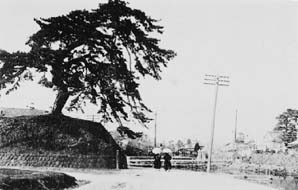 �吳�̍��̢��̏��