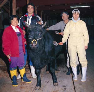 ���܂��̗�