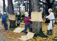 �ނ��늪��