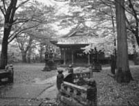 �����s�s�Z���I��