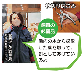 飼育の必需品枝切りばさみ、園内の木から採取した葉を切って、餌としてあげているよ
