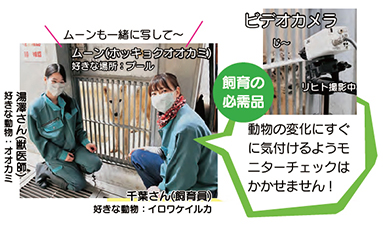 飼育の必需品ビデオカメラ、動物の変化にすぐ気付けるようモニターチェックはかかせません