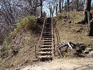 �K�i�H���O�摜