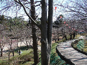 �@�ʍH���O�摜