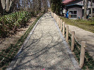 ���H�H����摜