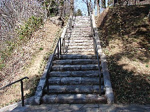 �K�i�H����摜