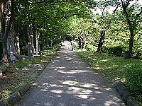 HO摜