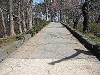 HO摜