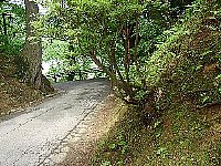 HO摜