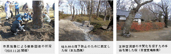 ̌m点摜